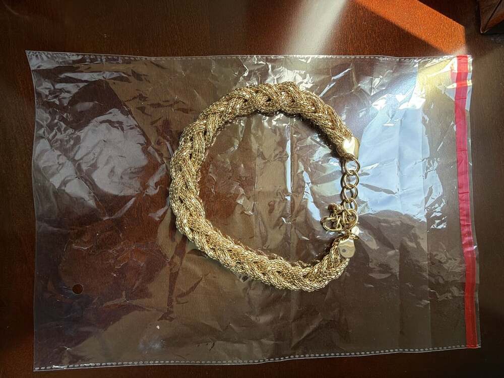 Express Gold Tone Braided Mesh Choker Necklace